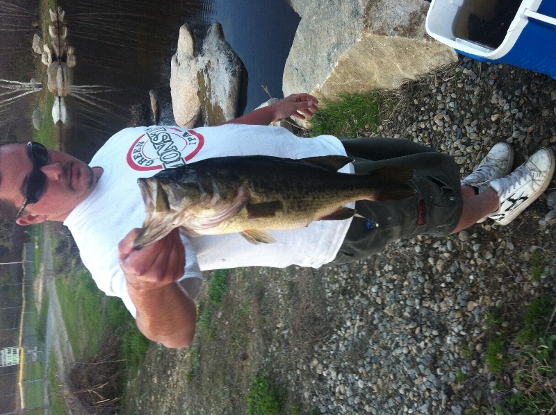 Stump pond