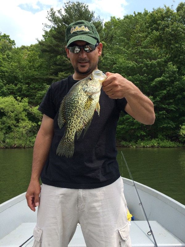 Crappie