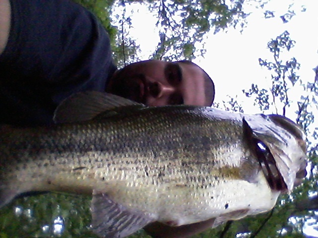 6 lber