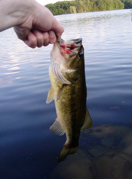 largemouth